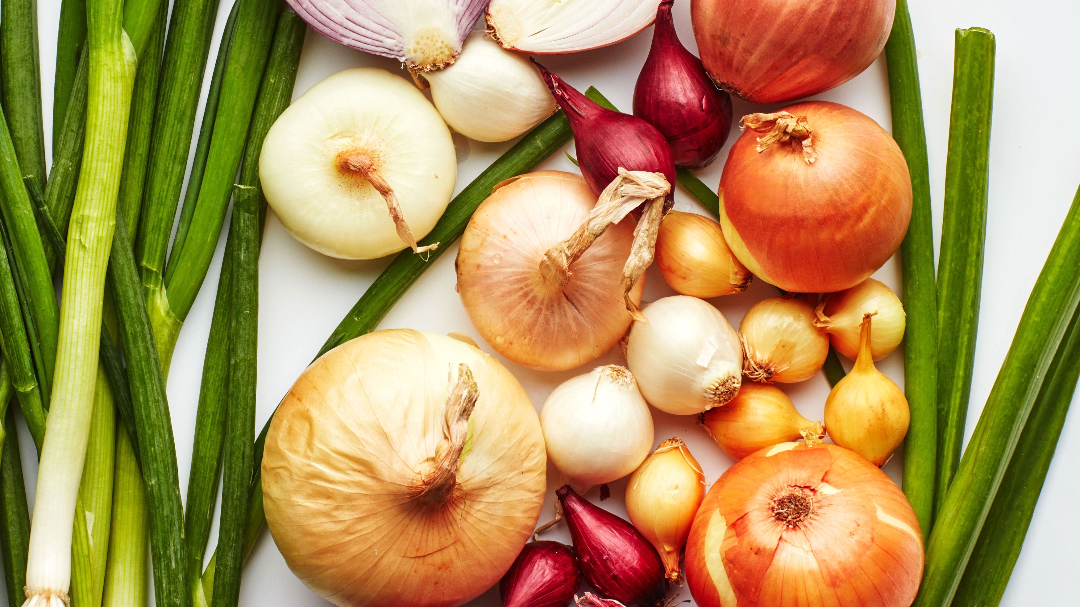 Allium / Onion Family - gardenalchemystore
