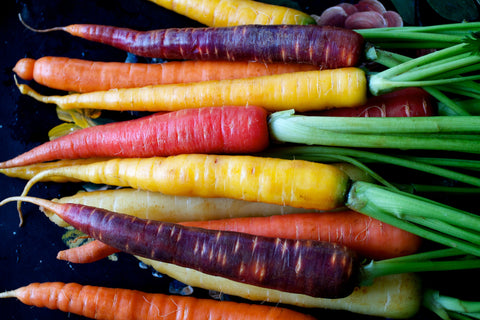 Carrots - gardenalchemystore