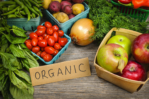 Organic Seeds - gardenalchemystore