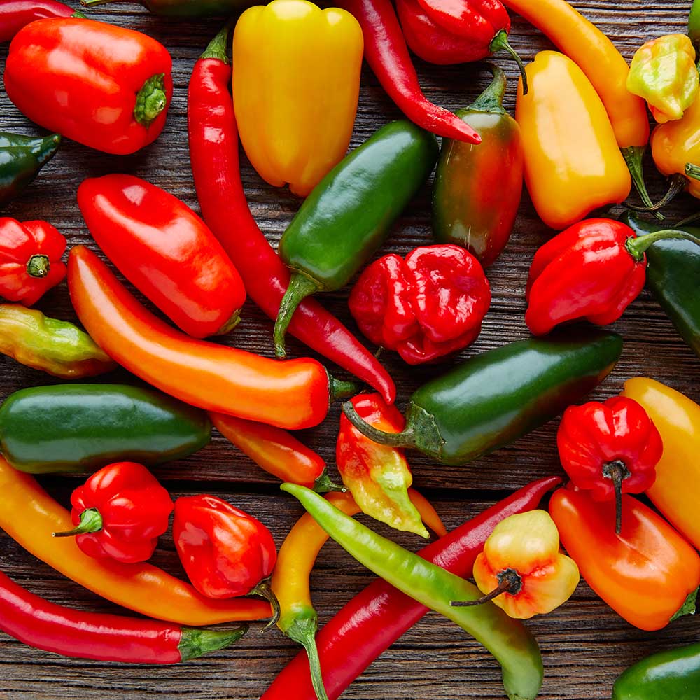 Peppers - gardenalchemystore