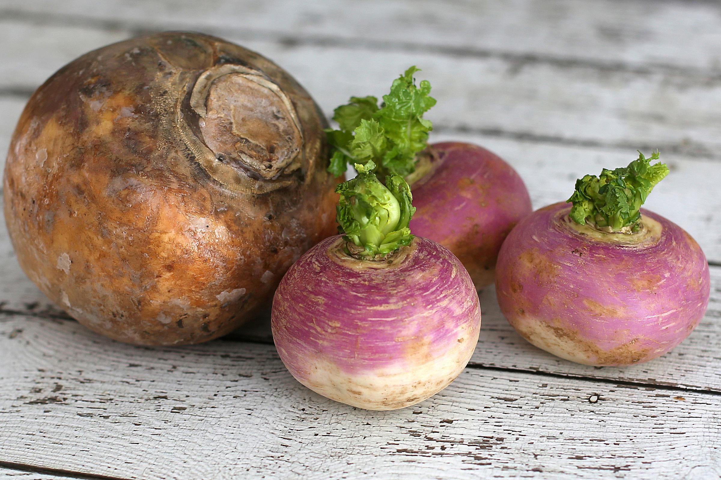Turnips and Rutabagas