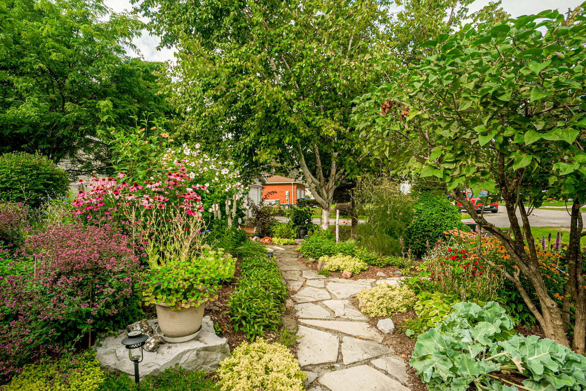 Planting Services