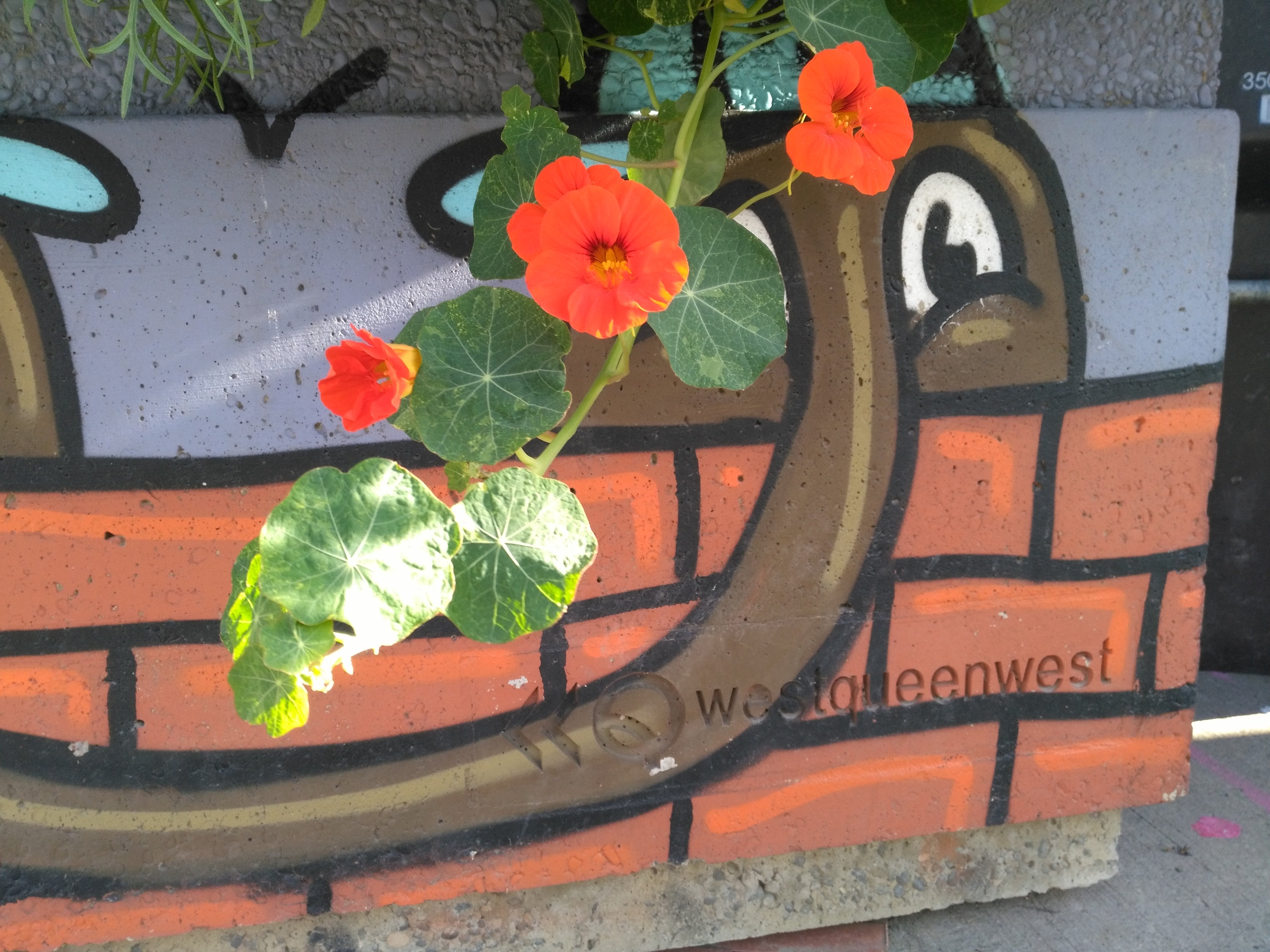 Commercial Seasonal Planters
