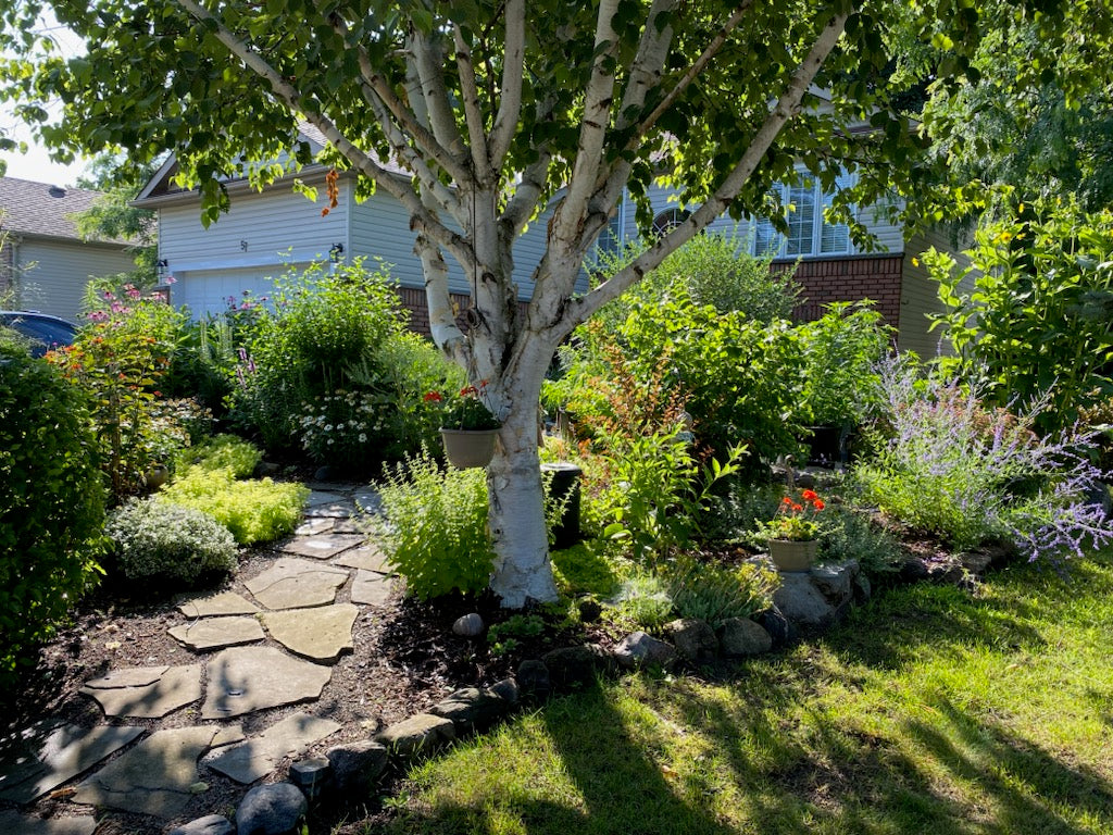 Planting Services