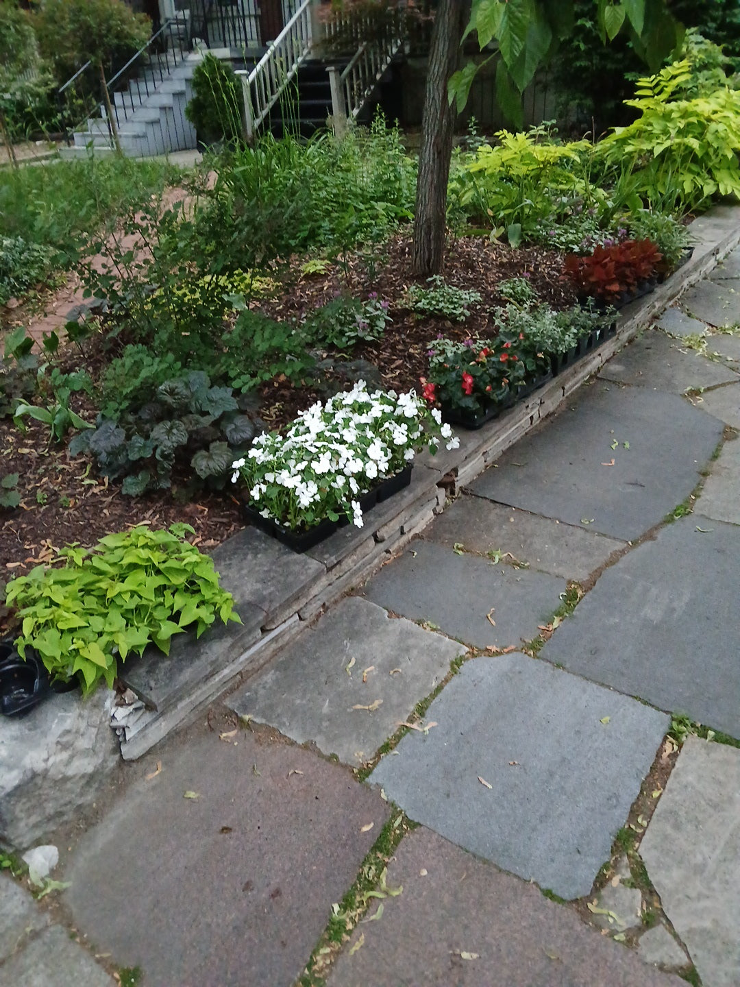 Planting Services