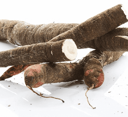 Meres Scorzonera (Black Salsify) Seeds | Garden Alchemy Seeds and More