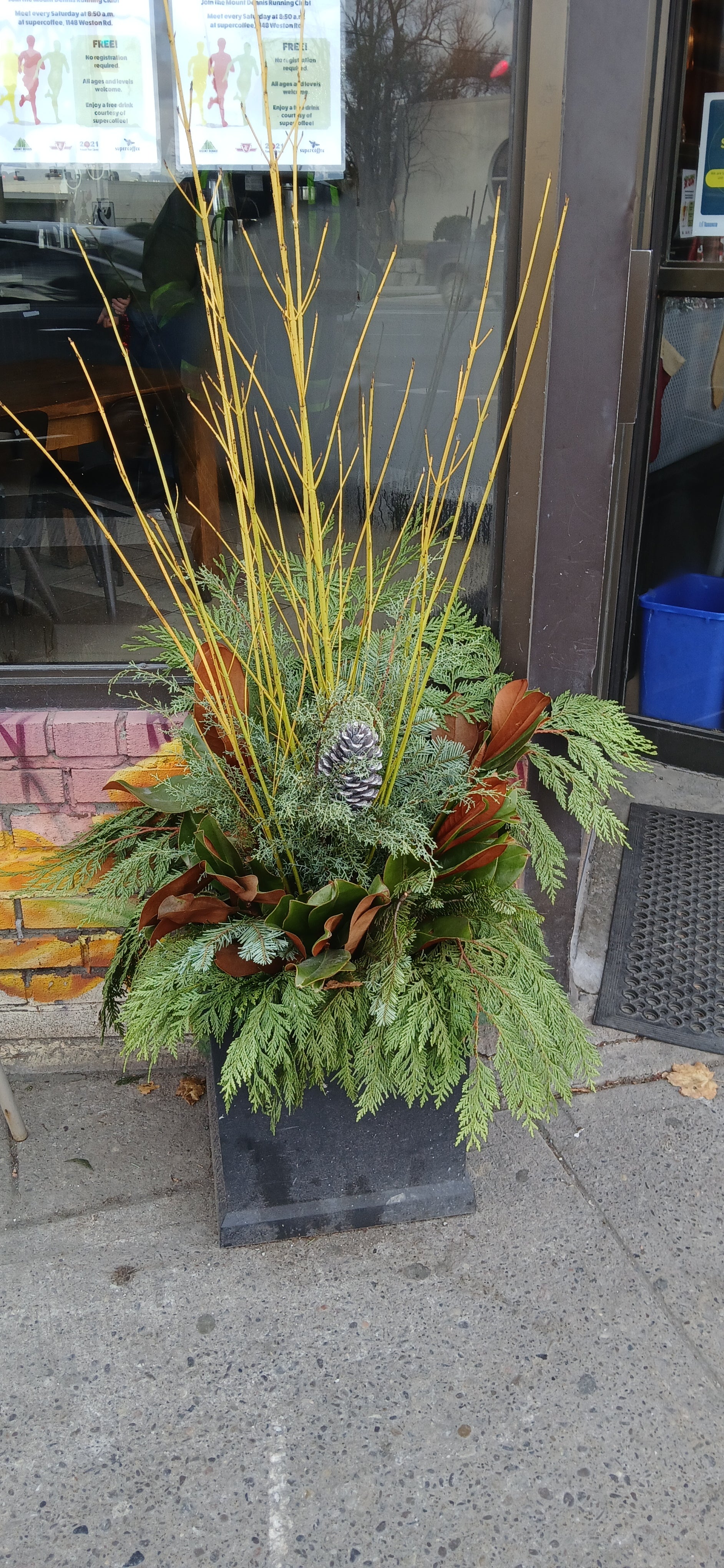 Commercial Seasonal Planters