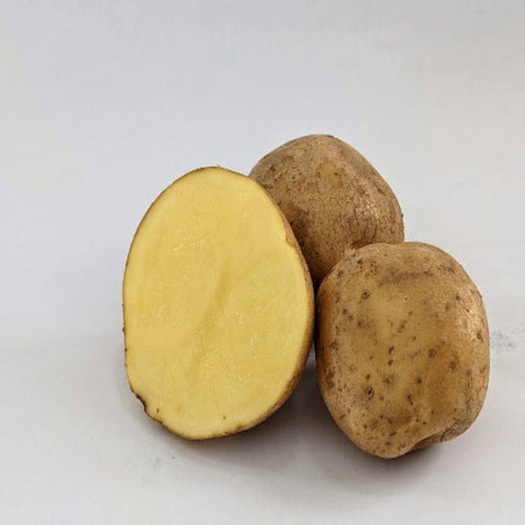 Keuka Gold Seed Potatoes