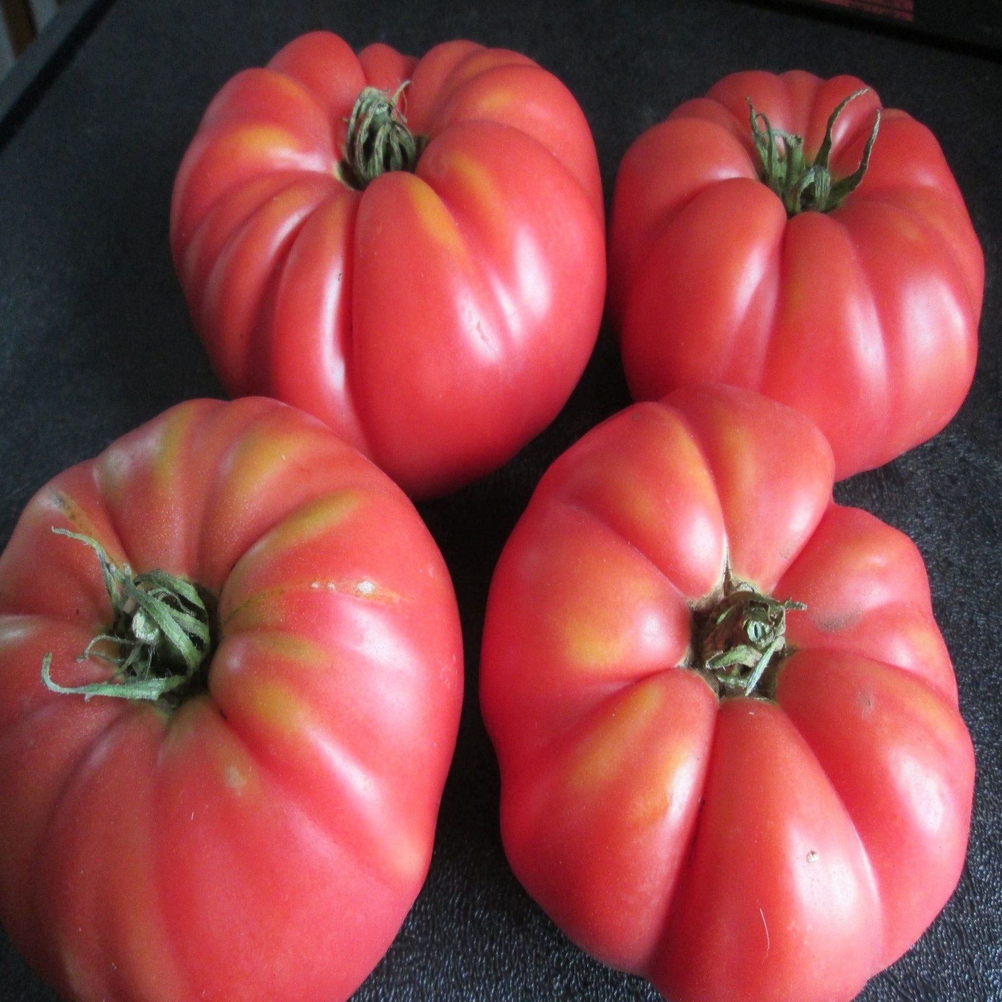 Heirloom Beefsteak Mix | Tomato Seeds | Heirloom | Organic