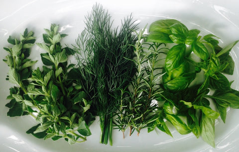 Herbs - gardenalchemystore