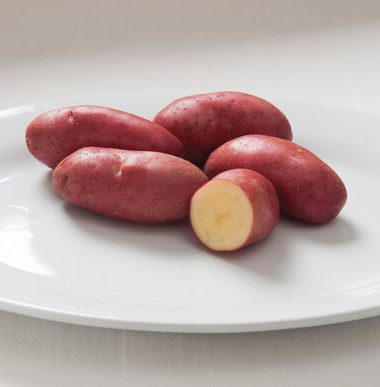 Fingerling Potatoes - Seed from Ontario, Canada