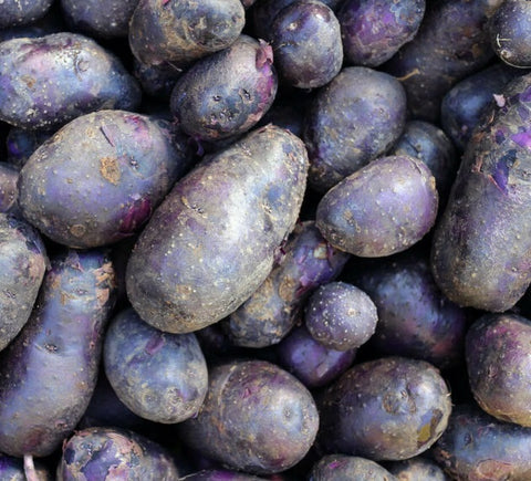 Purple and Blue Potatoes