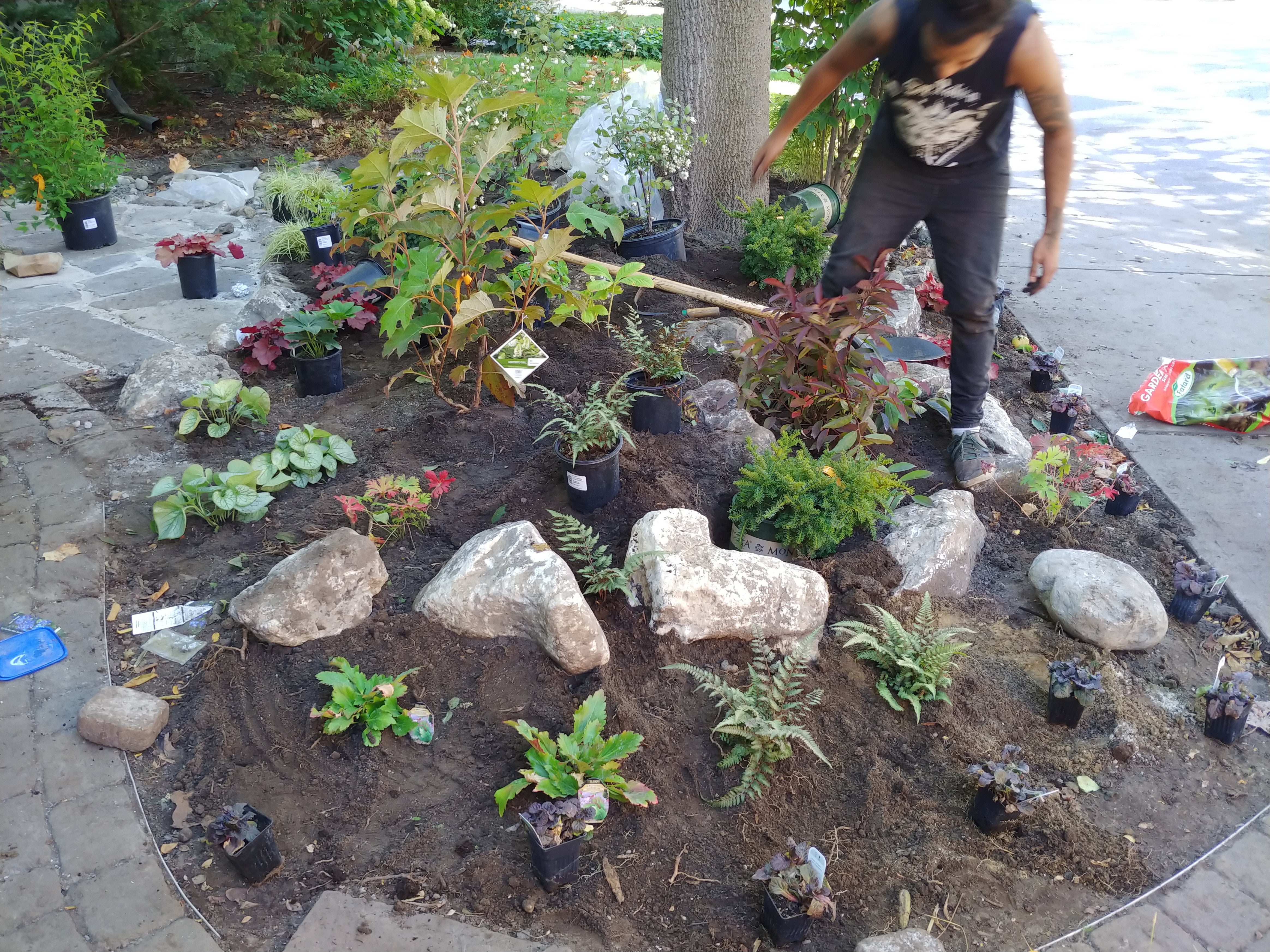 Planting Services