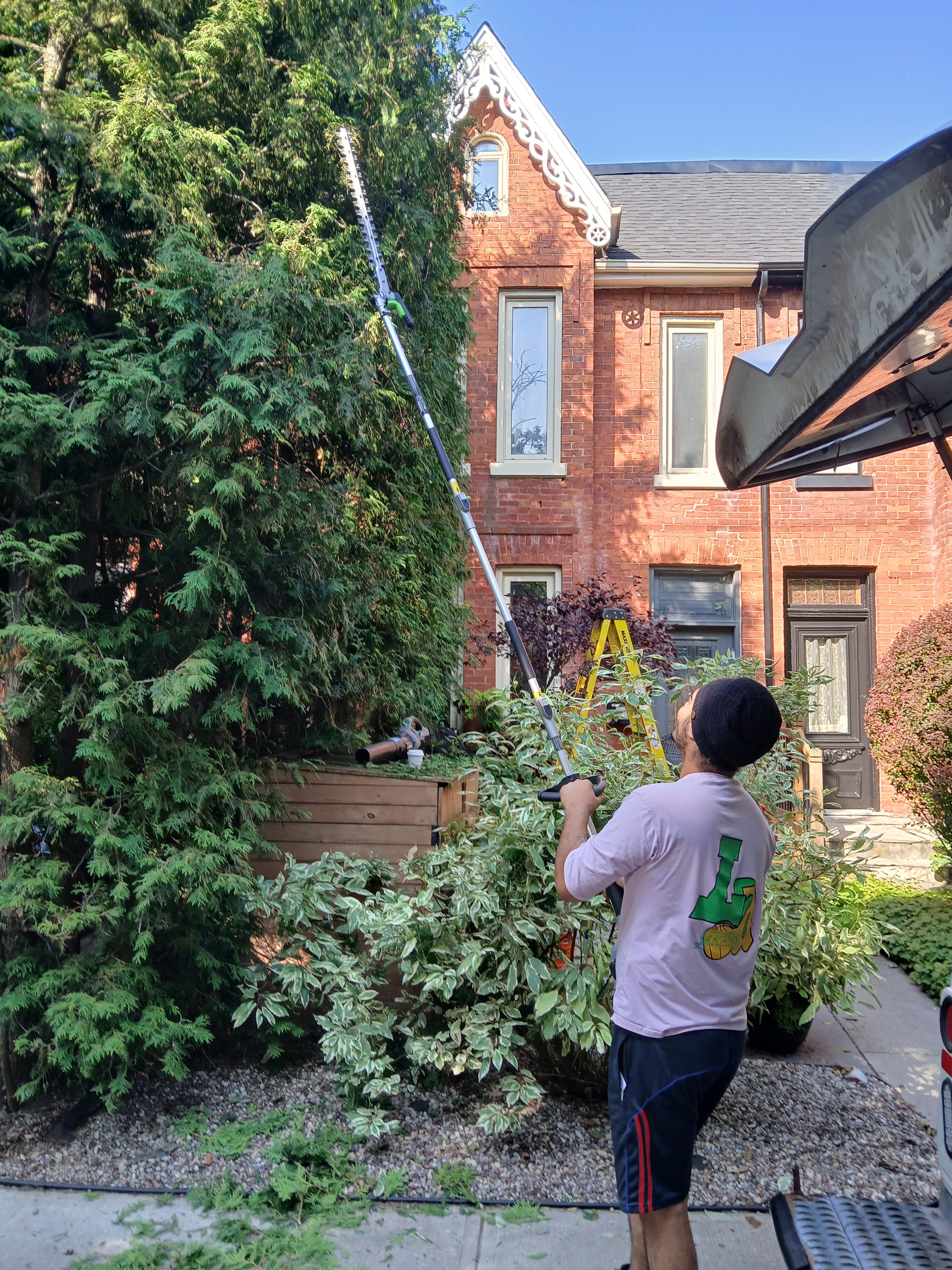 Garden Clean Ups