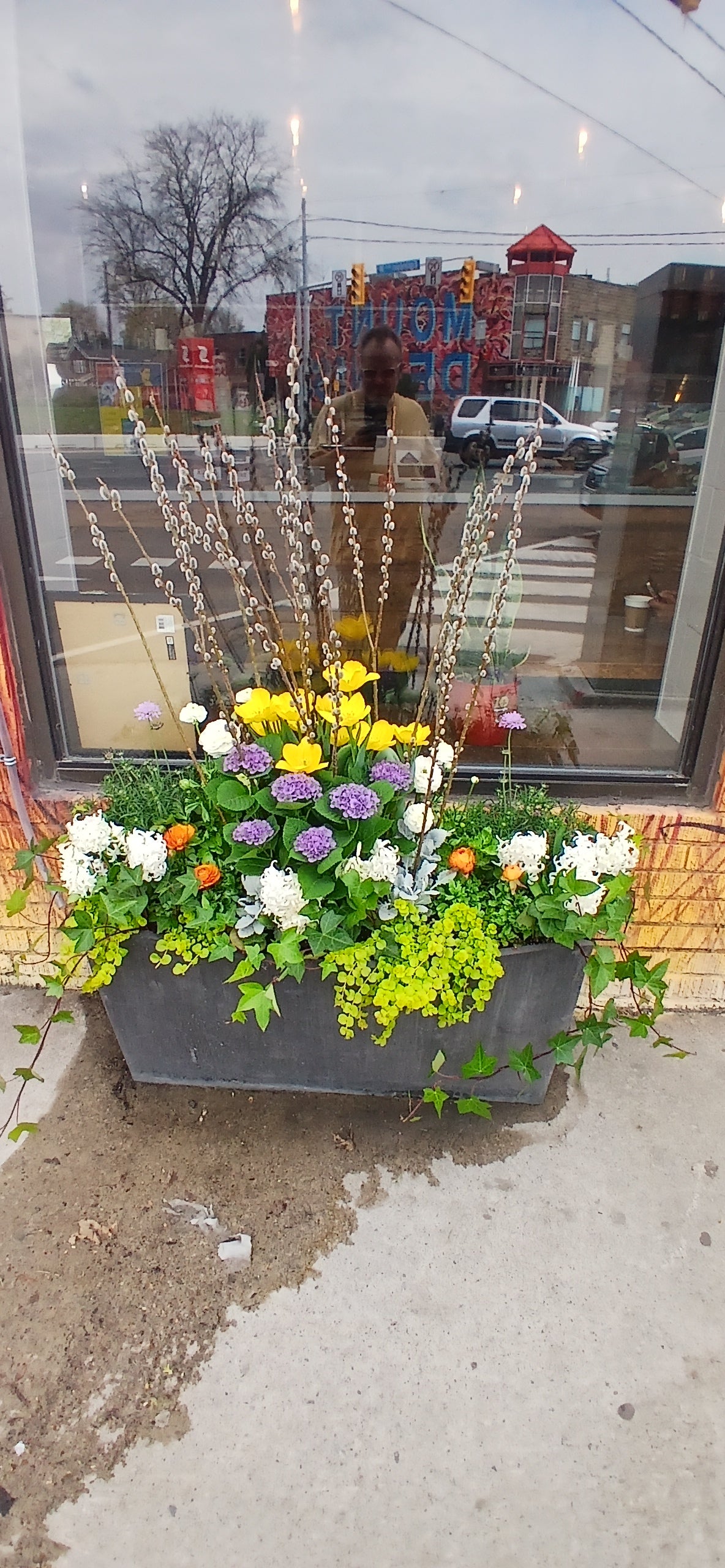 Commercial Seasonal Planters