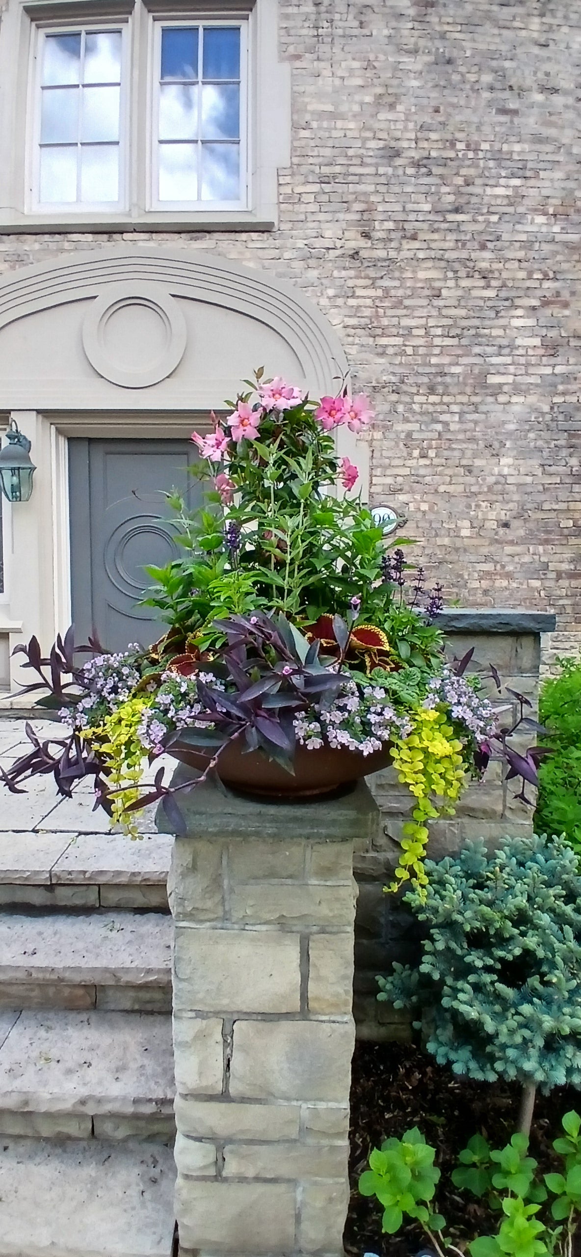 Residential Planters