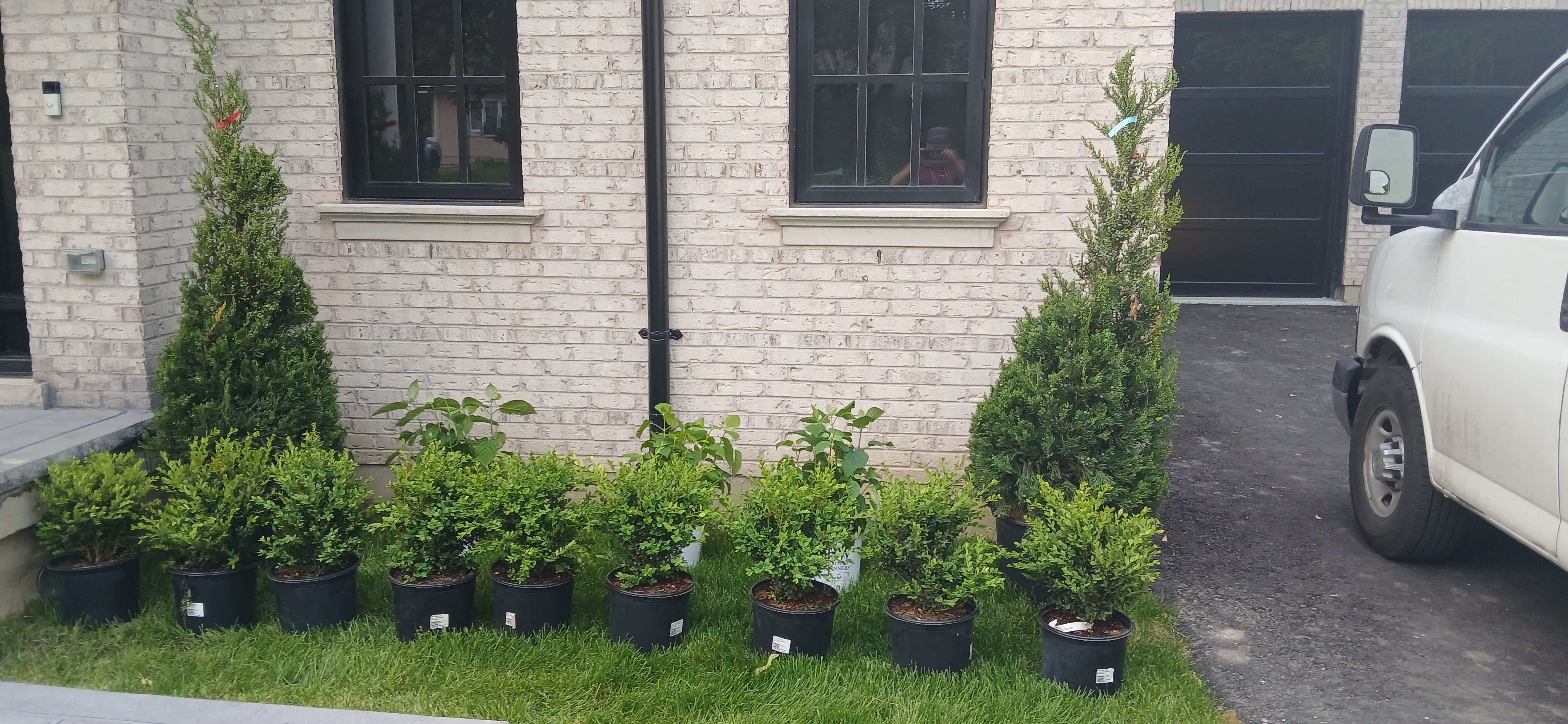 Planting Services