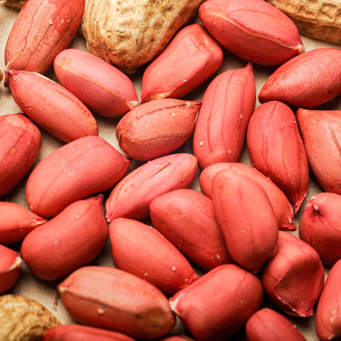 Garroy Valencia Peanut- Certified Organic Seeds