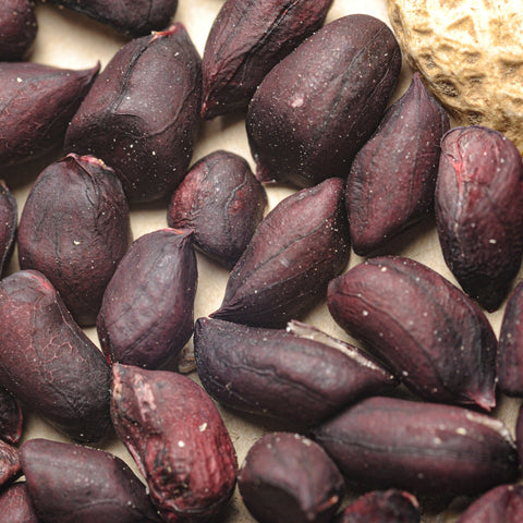 Ontario Black Peanut- Organic Seeds