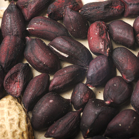 Ontario Black Peanut- Organic | Garden Alchemy Seeds and More