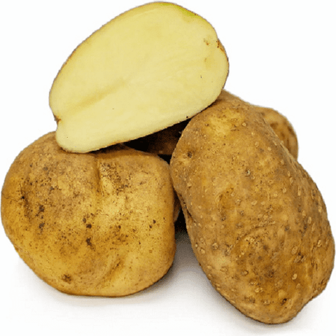 Onaway Potatoes | Garden Alchemy Seeds and More