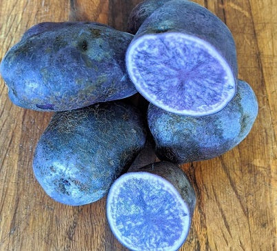 All Blue Potatoes | Garden Alchemy Seeds and More