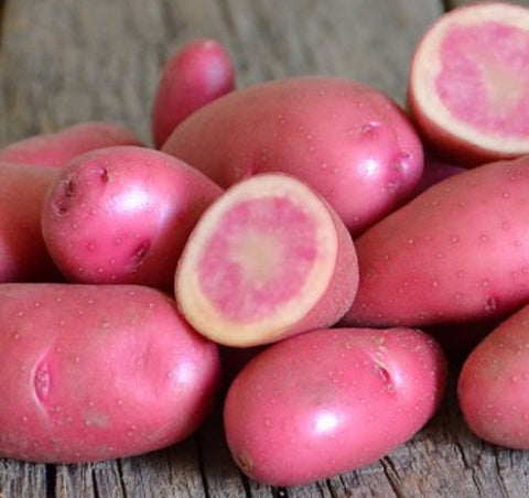 Rose Marie Potato Seed - Ontario Seed Potatoes