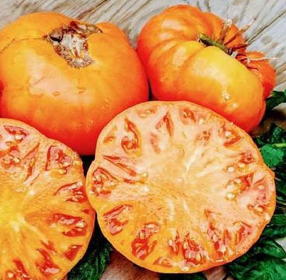 Yellow Brandywine Organic Tomato Seed | Garden Alchemy Seeds and More