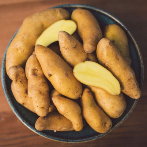 Banana Non-GMO Fingerling Seed Potatoes