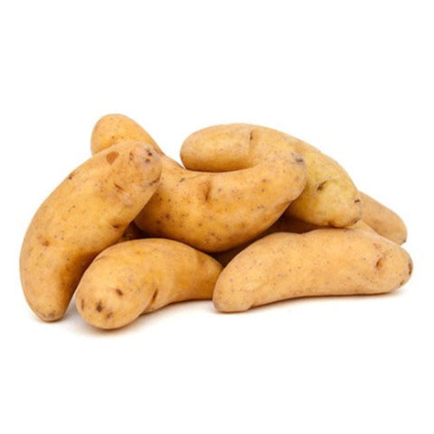 La Ratte Seed Potatoes