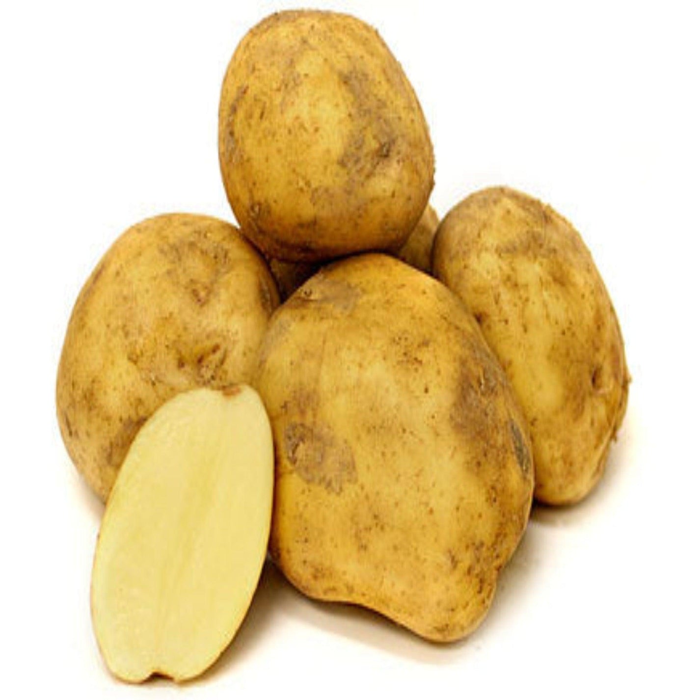 Kennebec Potato Seed Ontario, Heirloom Seed Potatoes by Garden Alche