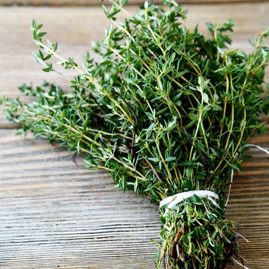Thyme - Heirloom, Non Gmo Seeds