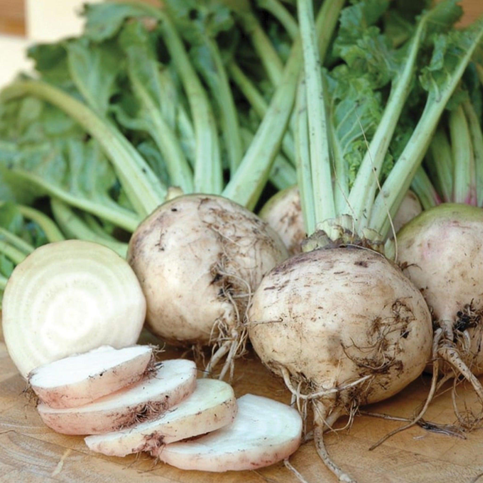 albino beet heirloom seeds - 0