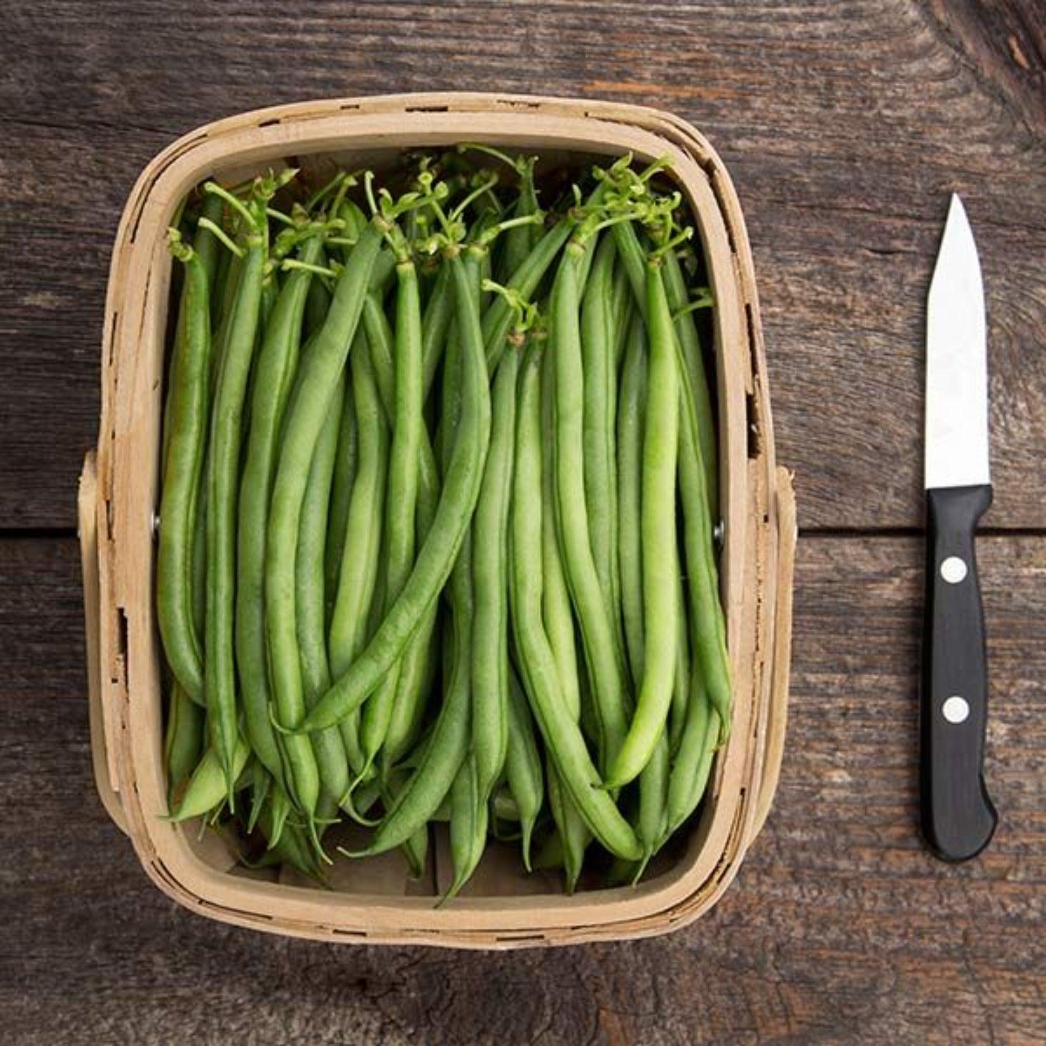 Seychelles Pole Bean-Open Pollinated Seed