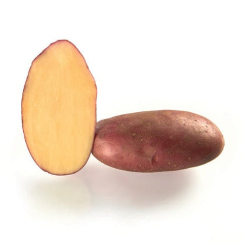 Cherie - Non GMO Red Skin, Yellow Flesh Seed Potatoes