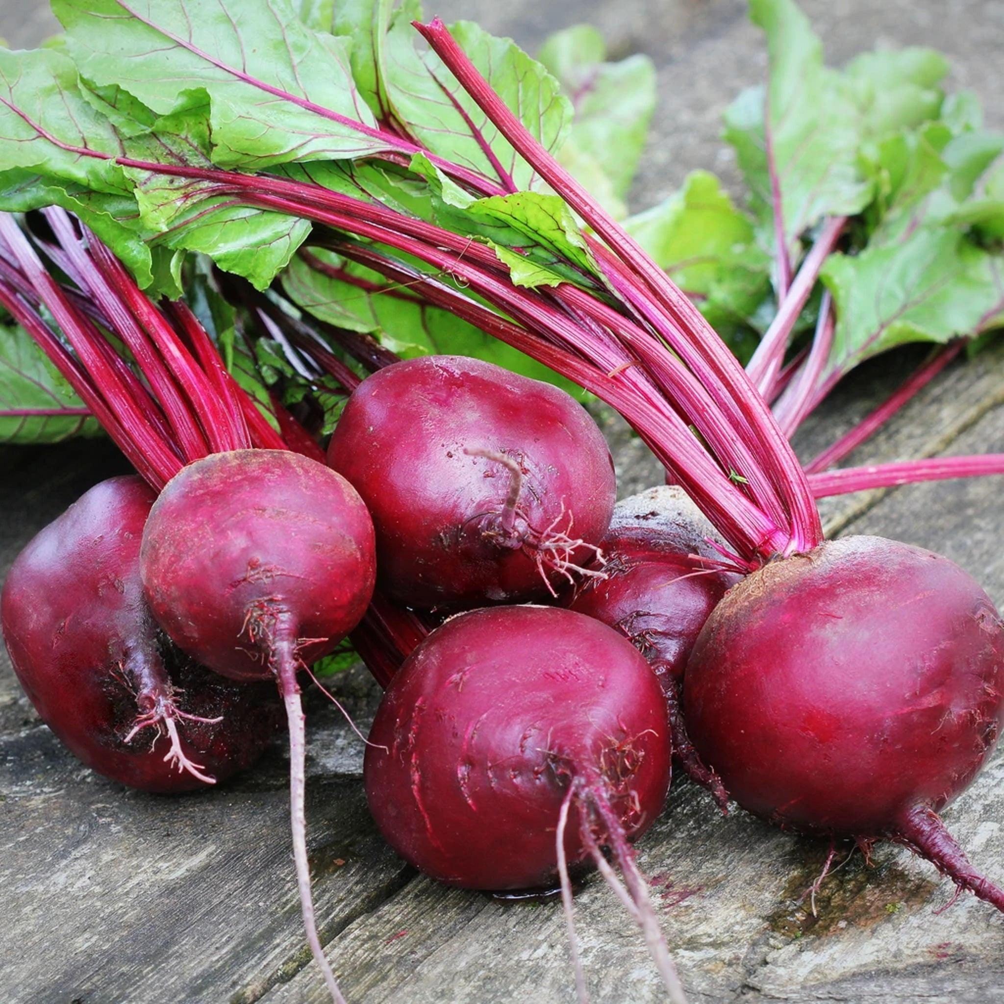 Detroit Dark Red Beet- Organic, Heirloom Seeds