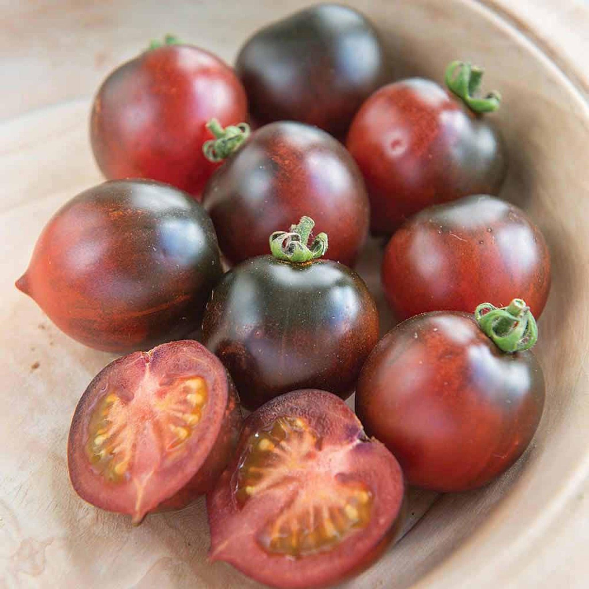 Indigo Cherry Drops Tomato- Open Pollinated, Organic Seed