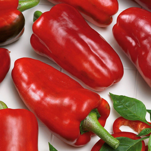 Marconi Rosso Peppers - Heirloom, Non-GMO Seeds