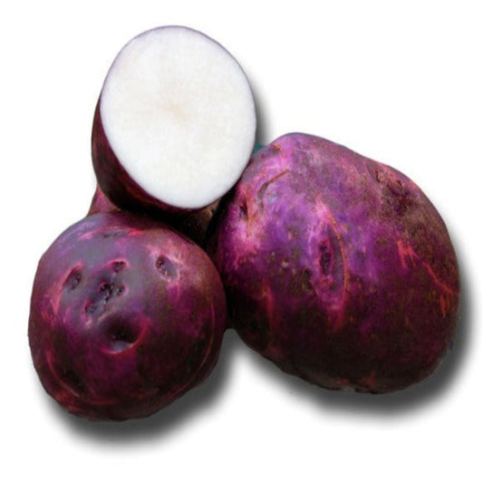 Viking Seed Potatoes