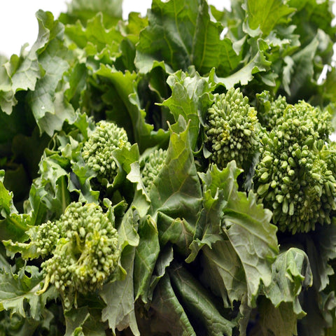 Rapini or Spring Raab Broccoli - Heirloom, Non Gmo Seeds