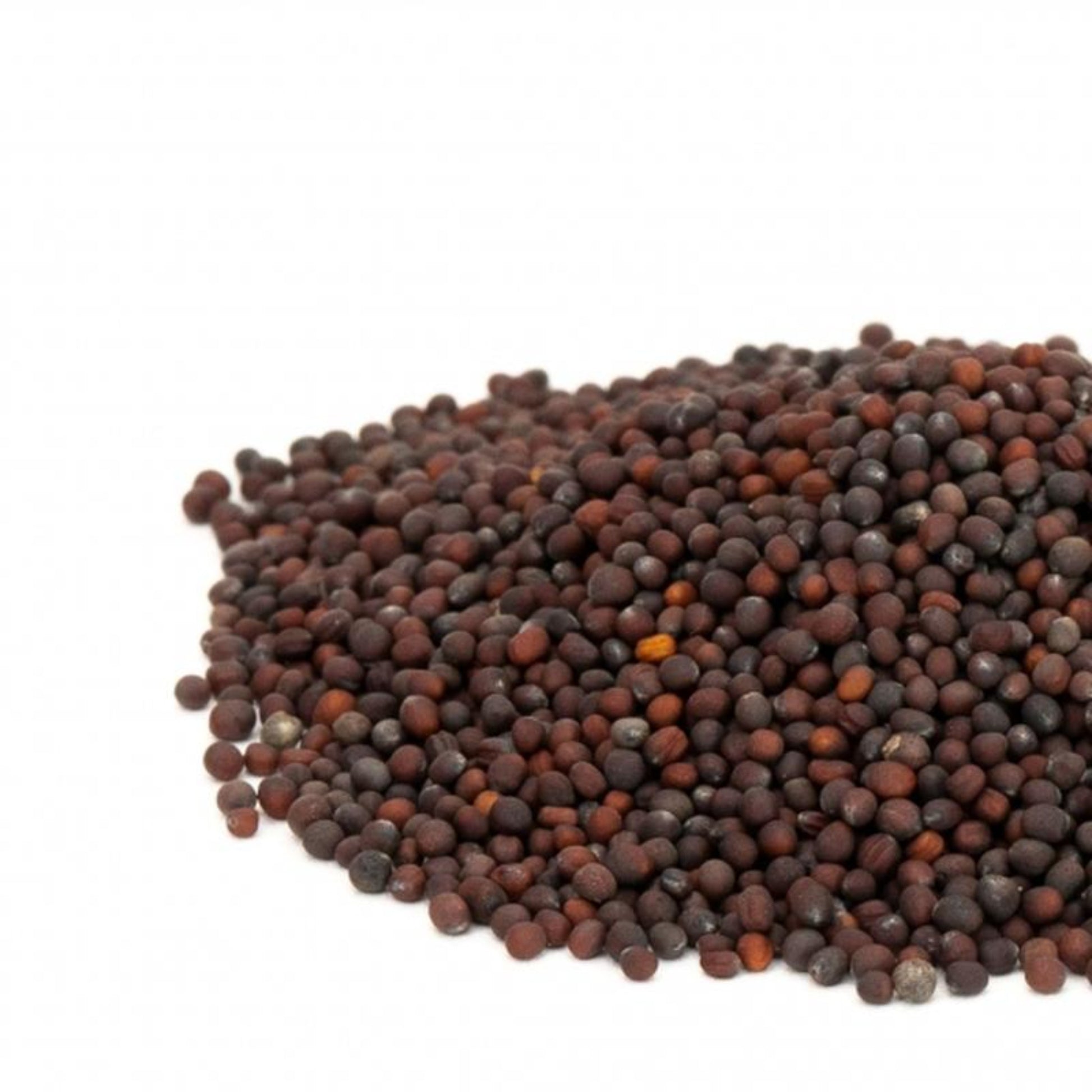 Micro Salad MIx-Organic Microgreen Seed