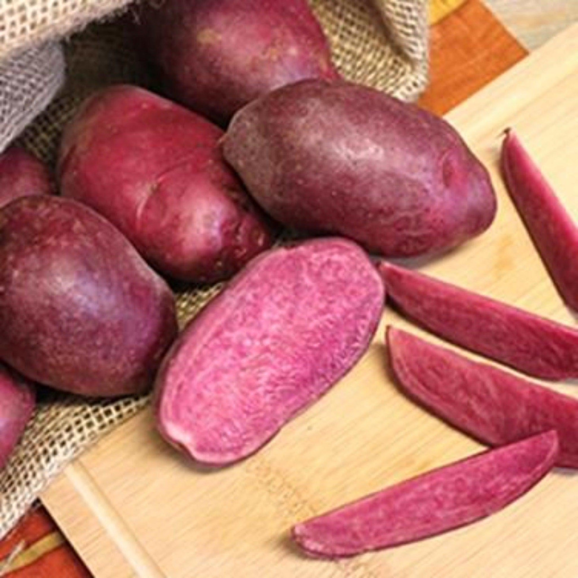 Red Rosa Potatoes Terra Rosa Potato Seed - Ontario, Heirloom Seed Potato by Garden Alche ...